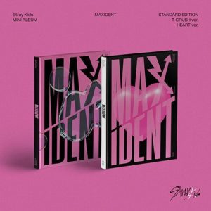 [STRAY KIDS] MAXIDENT ВСКРЫТЫЙ (STANDARD VER.)