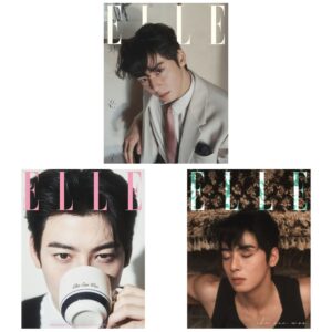 [CHA EUNWOO] ELLE 2025.02