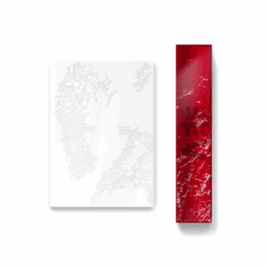 [BTS - V] (WEVERSE SHOP) TYPE 非